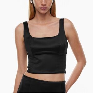 Aritzia Shine Bustier